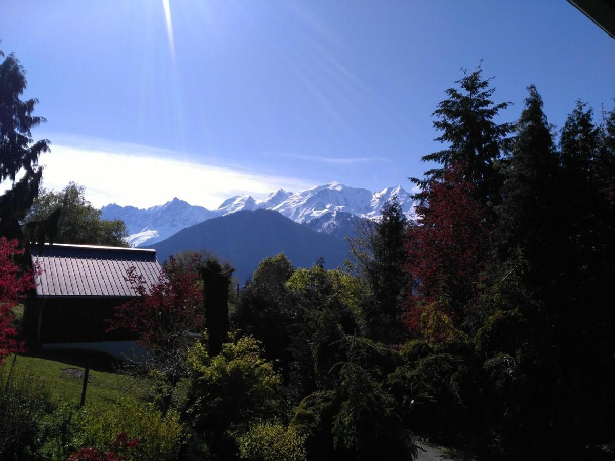 Mont Etape , F2, 42 M2, Calme, Vue Mt Blanc Apartment Passy  Cameră foto